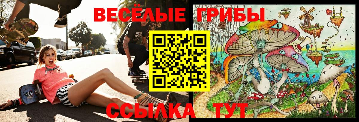 Псилоцибиновые грибы мухоморы Юрга