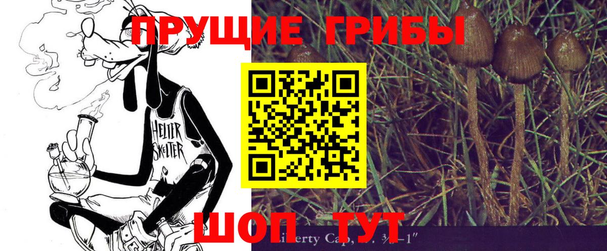 Псилоцибиновые грибы GOLDEN TEACHER  Вход с VPN  Юрга 